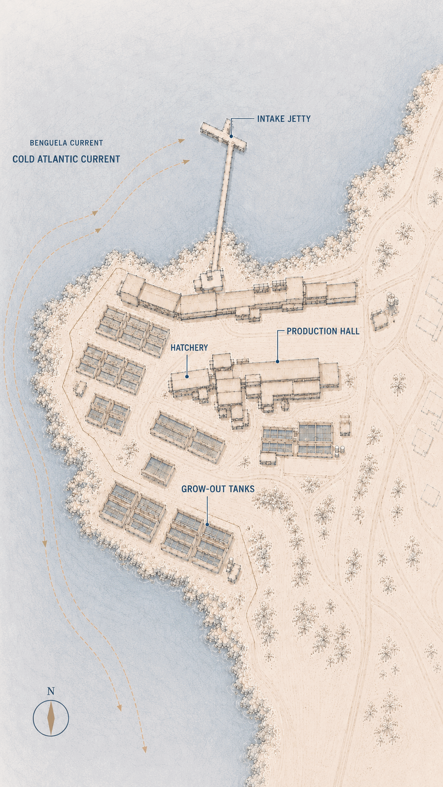 Illustrated map of the Doring Bay abalone farm showing the intake jetty, hatchery, grow-out tanks and production hall on the cold Atlantic coast.