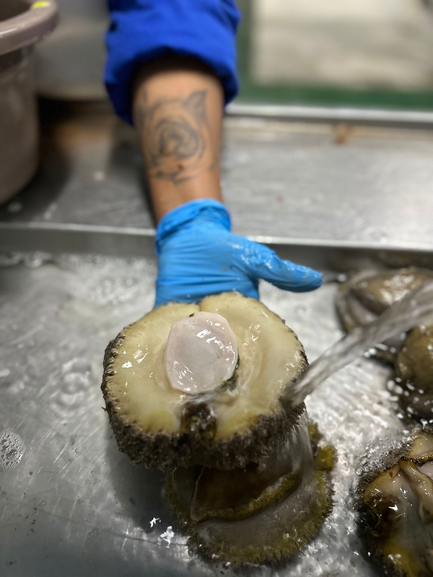 Hand grading shucked abalone