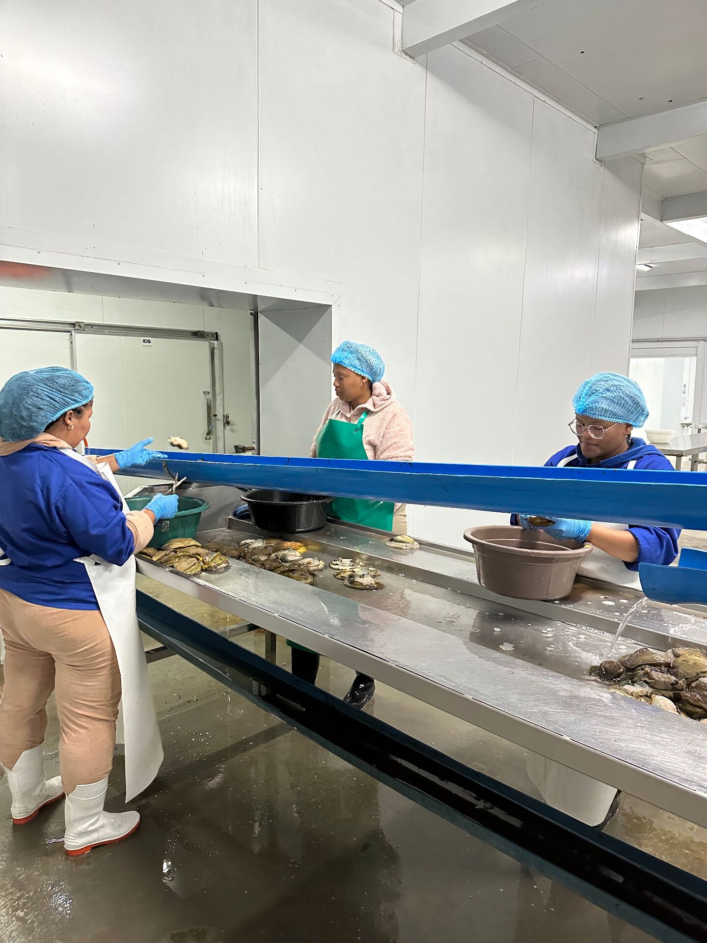 Production line workers